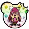 ACCESSORIES PROTOHYPE X SCUMMY BEARS - PROTOPUP PIN